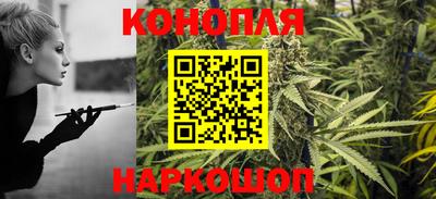 дмт Новодвинск