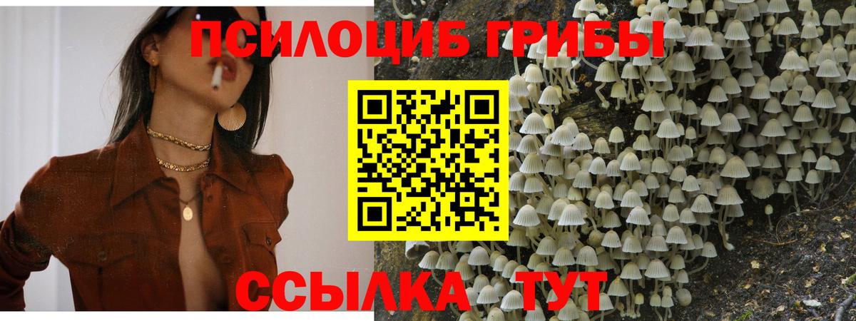 Псилоцибиновые грибы мухоморы Санкт-Петербург