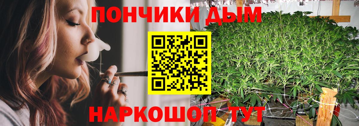 Канабис планчик  МАРИХУАНА ГИДРОПОН  Санкт-Петербург  МАРИХУАНА семена  Каннабис THC 21%  Вход с VPN 